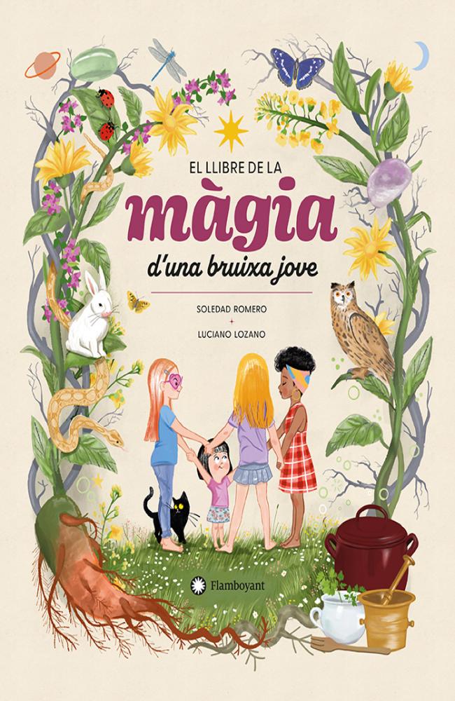 El llibre de la màgia d&