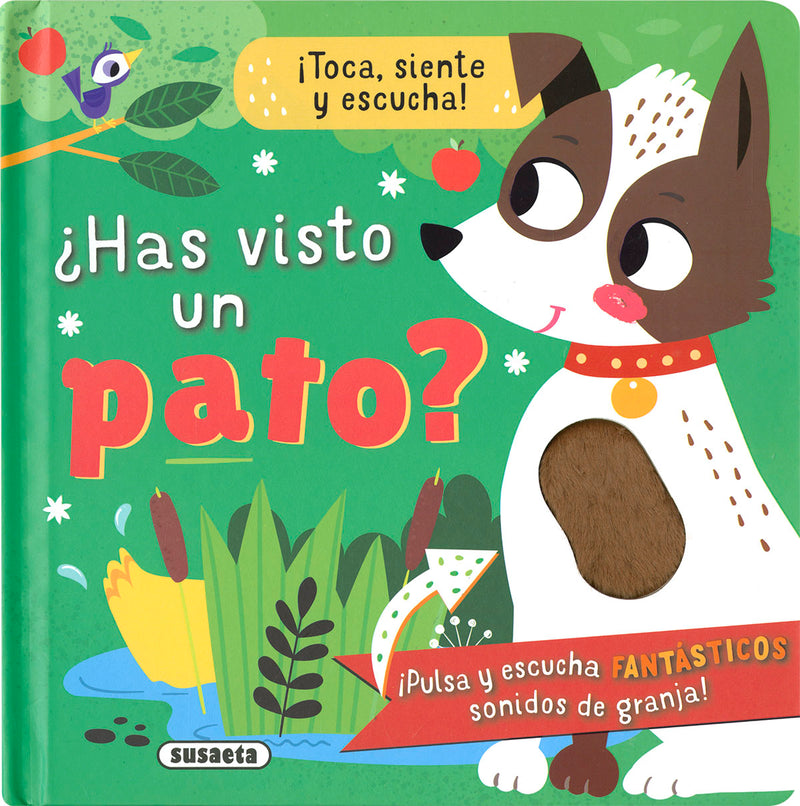 ¿Has visto un pato?