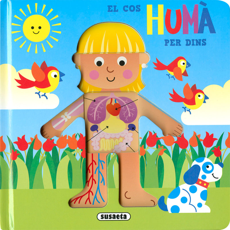 EL COS HUMÀ PER DINS