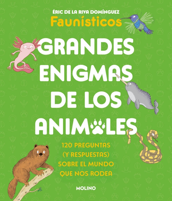 Grandes enigmas de los animales (Colección Grandes enigmas)