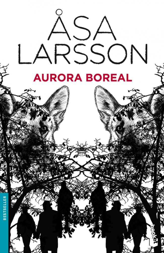 Aurora boreal