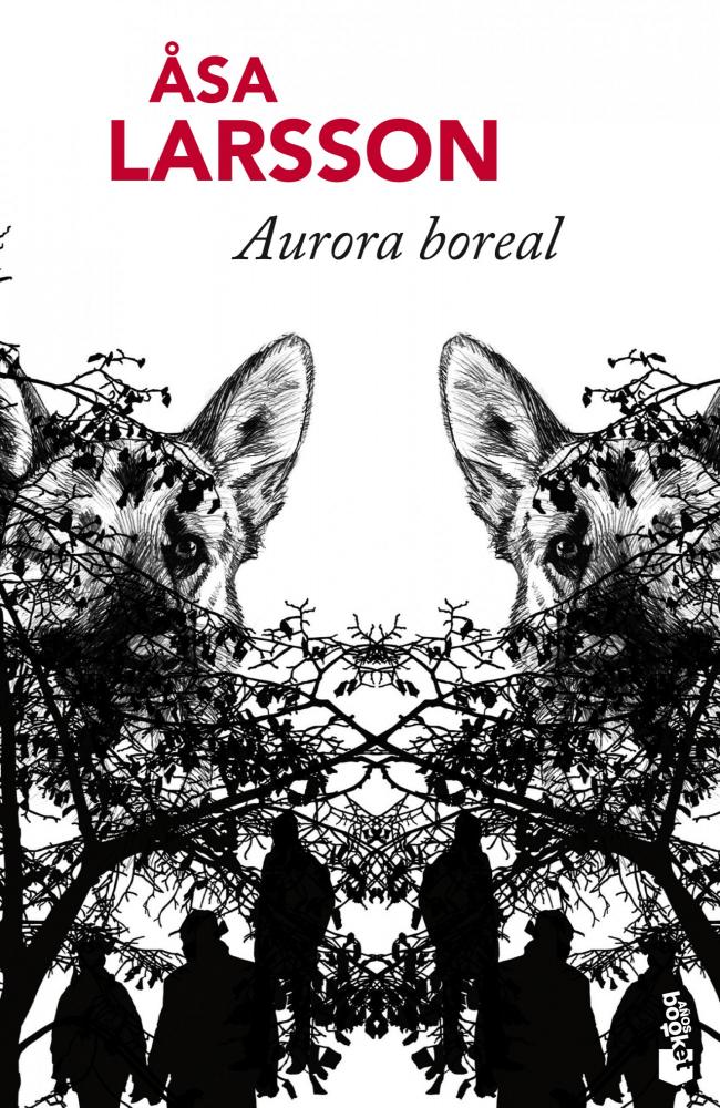 Aurora boreal