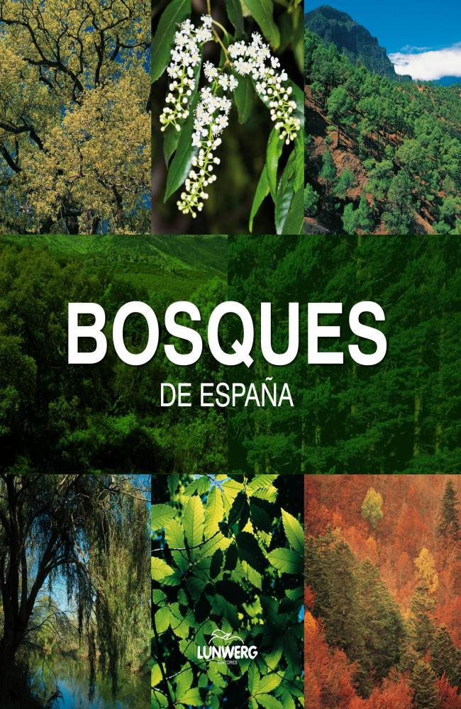 Bosques de España. Lunwerg Medium