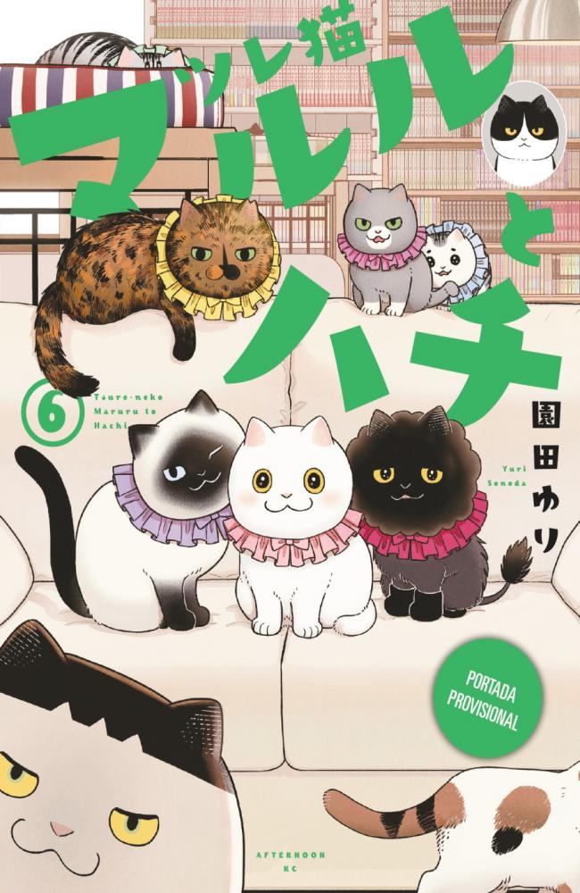 Los amigatos Hachi y Maruru 5