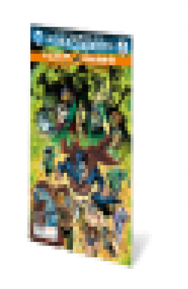 Liga de la Justicia contra Escuadrón Suicida núm. 03 (de 3) (Renacimiento)