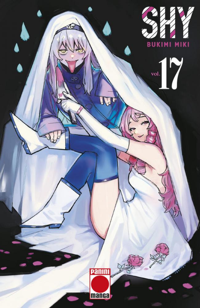 SHY 17