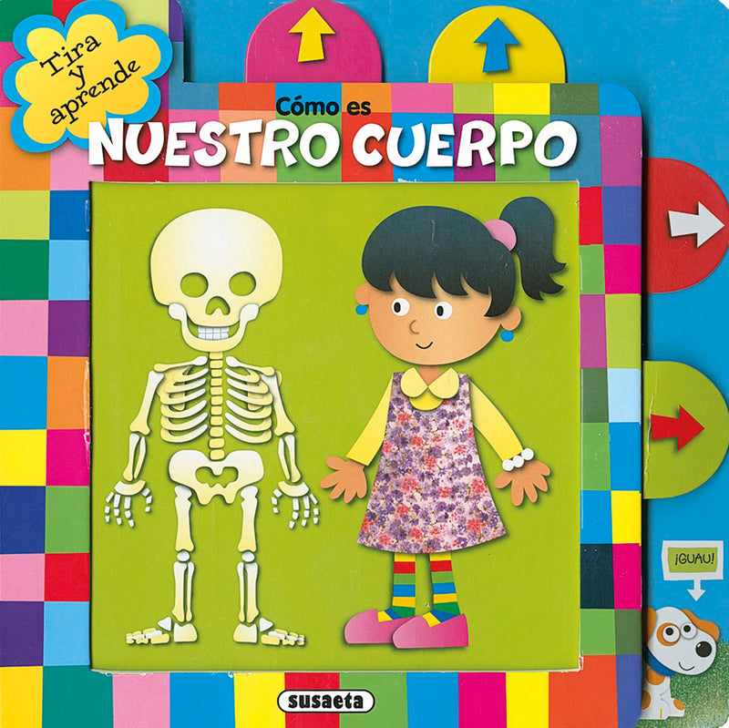Cómo es nuestro cuerpo