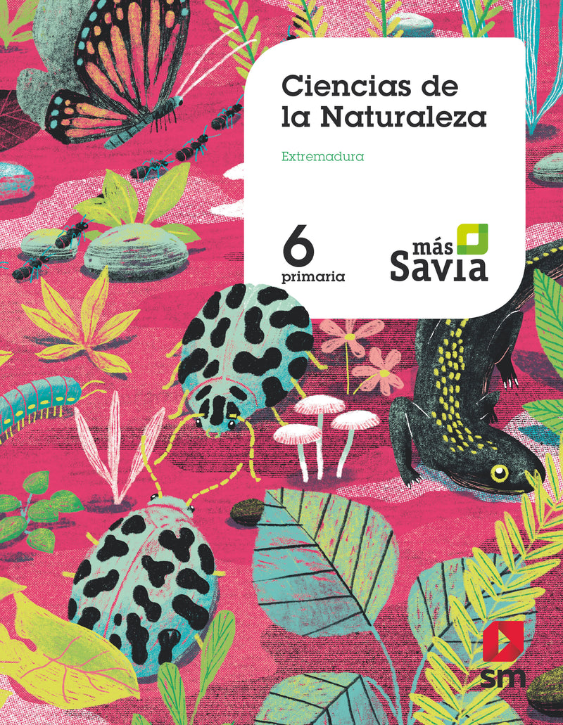 CIENCIAS NATURALEZA 6ºEP EXTREMADURA 19 MAS SAVIA