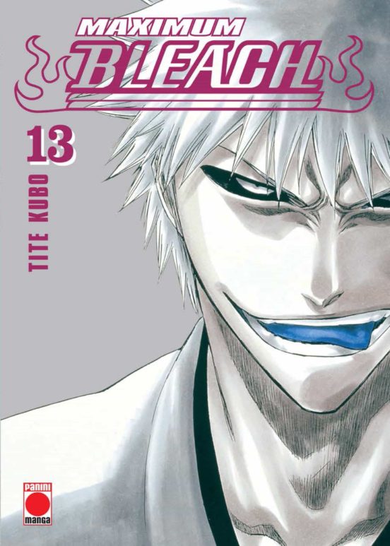 BLEACH MAXIMUM 13