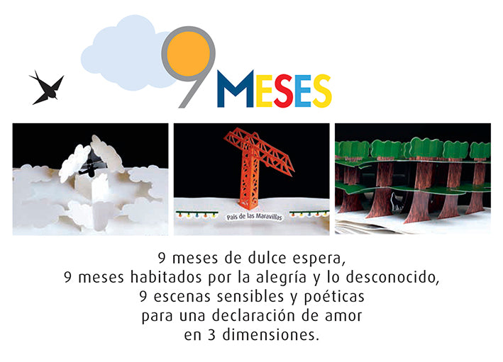 9 meses
