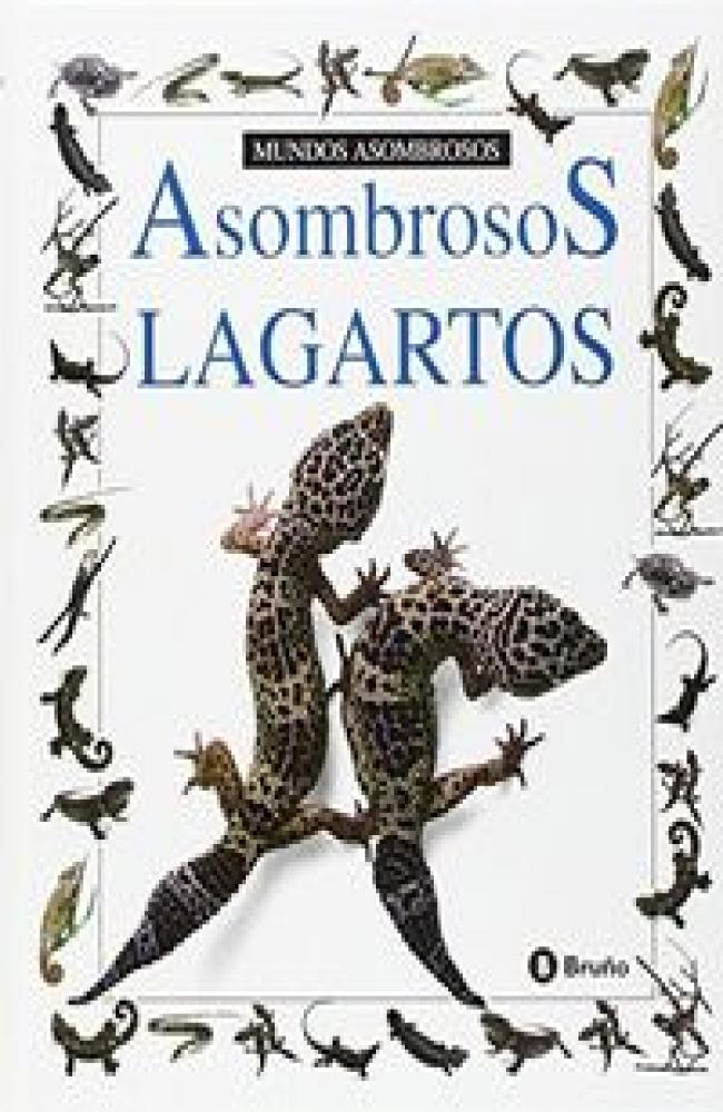 Asombroso lagartos