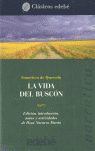 LA VIDA DEL BUSCÓN