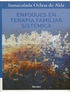 Enfoques en terapia familiar sistémica