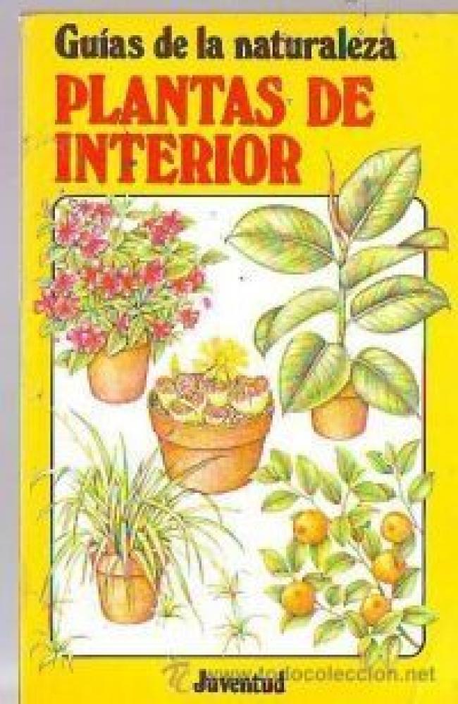 Plantas de interior