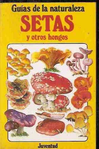 Setas y otros hongos