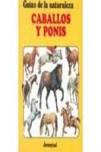 Caballos y ponis