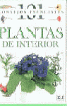 Plantas de interior
