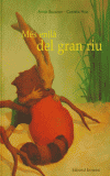 Mes enlla del gran riu