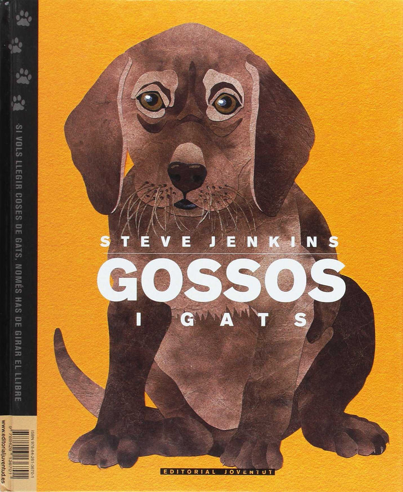 Gossos i gats
