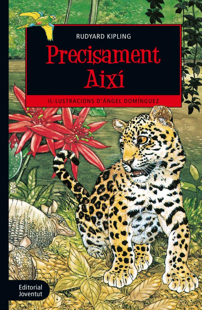Precisament així