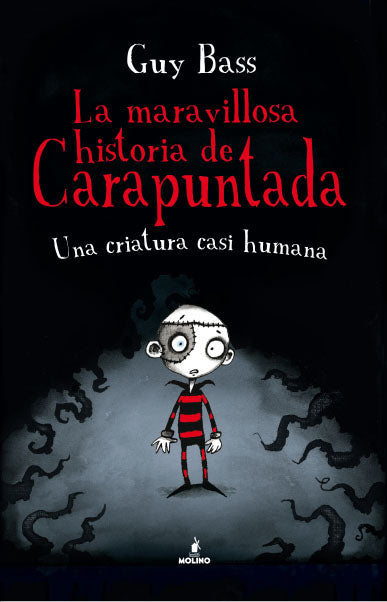 La maravillosa historia de Carapuntada 1. Una criatura casi humana.