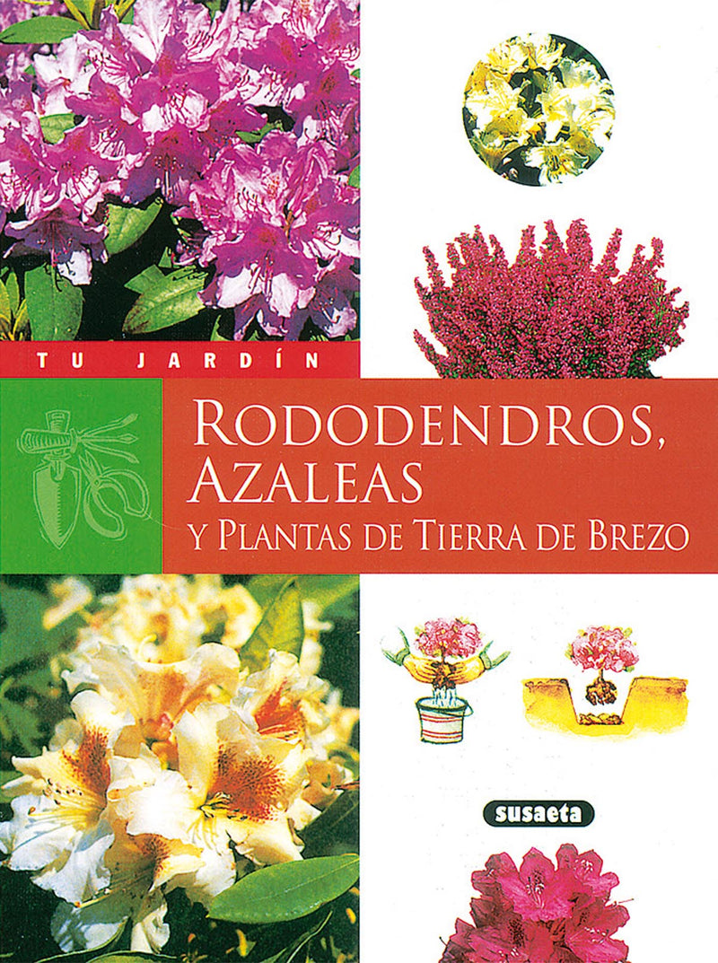 Rododendros, azaleas y plantas