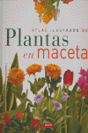 Atlas ilustrado de plantas en maceta