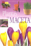 Plantas en maceta