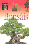 Bonsáis