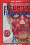 El cuerpo humano