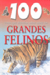 Grandes felinos