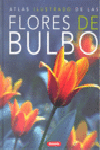 Las flores de bulbo