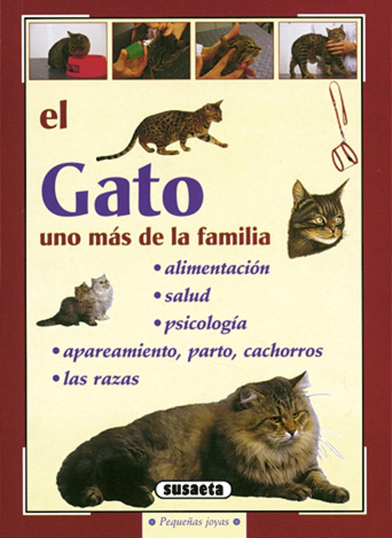 El gato