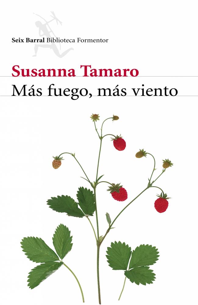 Más fuego, más viento