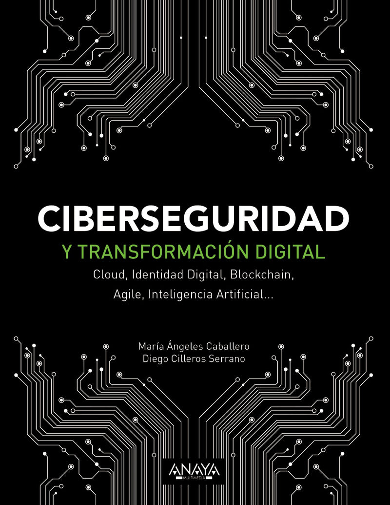 Ciberseguridad y transformación digital