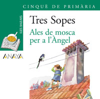 Blíster  " Ales de mosca per a l&