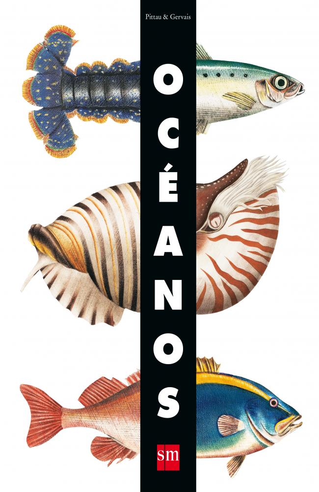 Océanos