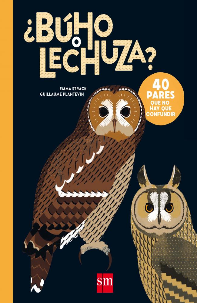 ¿Búho o lechuza?