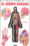 El cuerpo humano