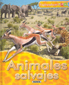 Animales salvajes