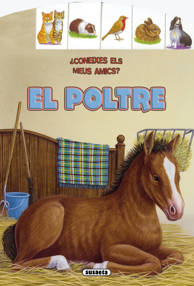 El poltre
