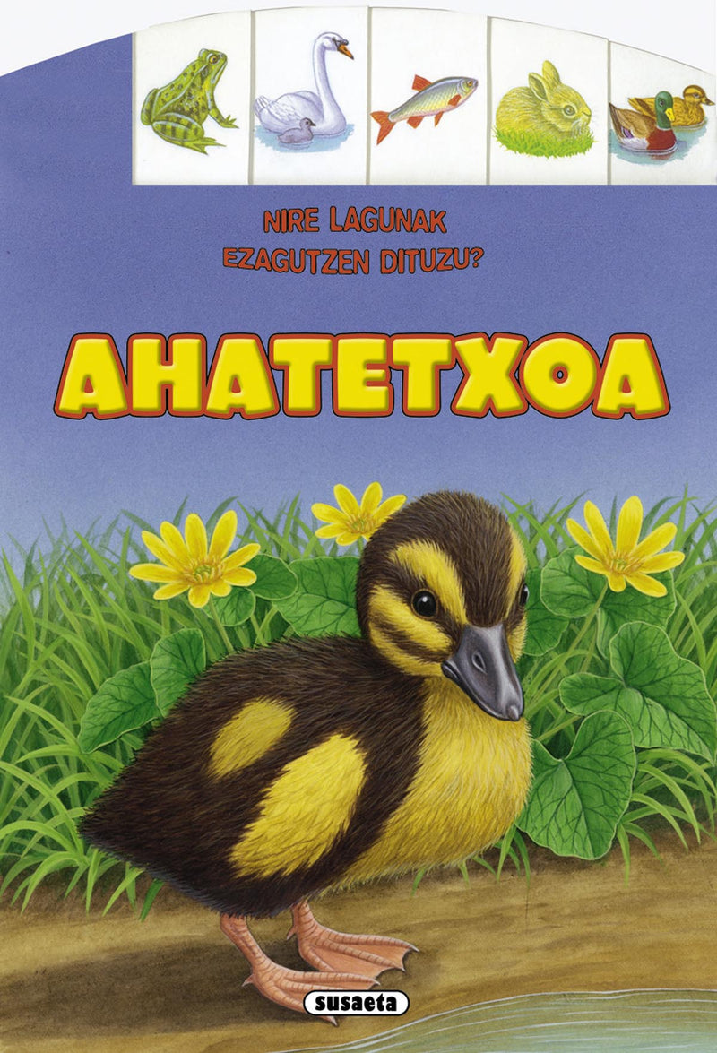 Ahatetxoa