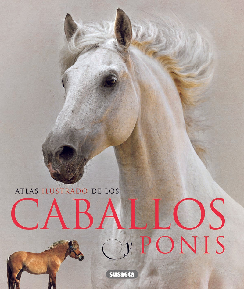 Caballos y ponis