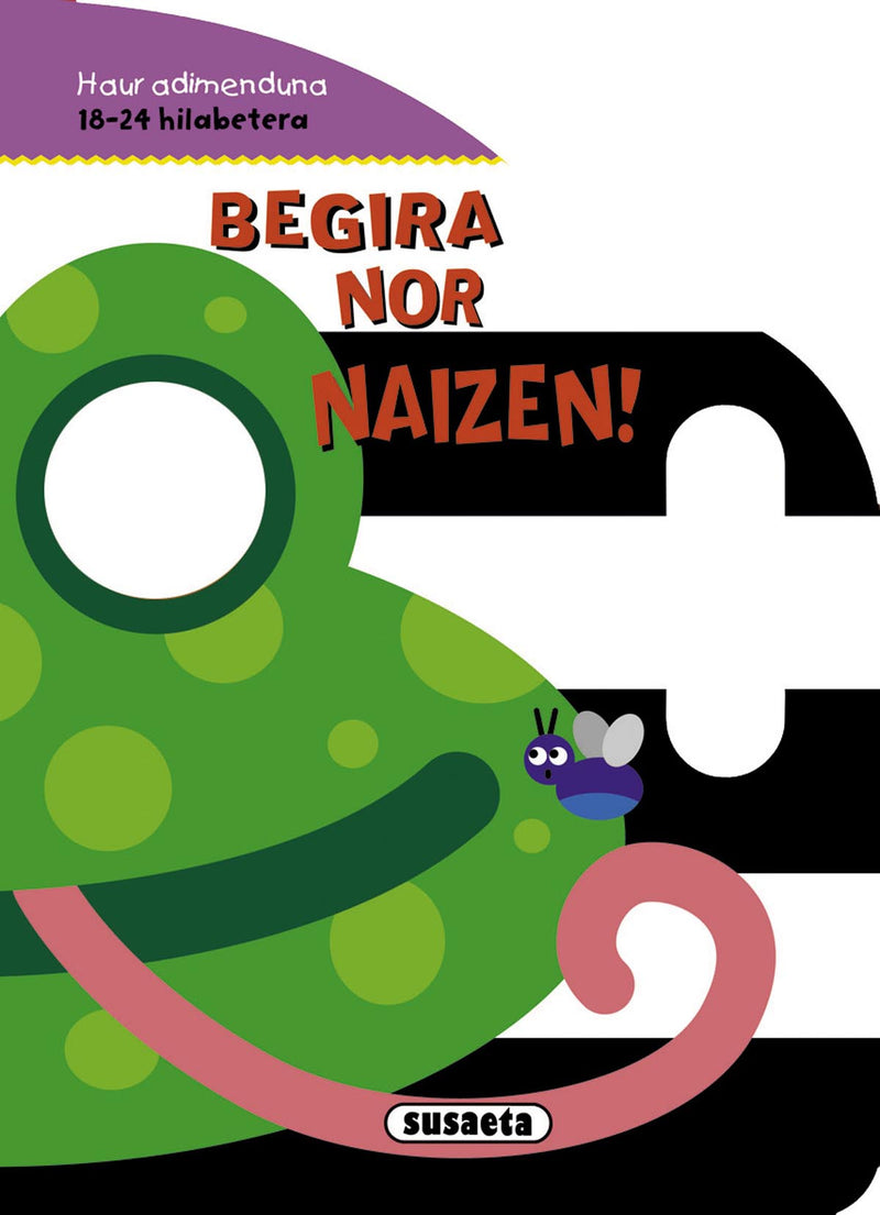Begira nor naizen!