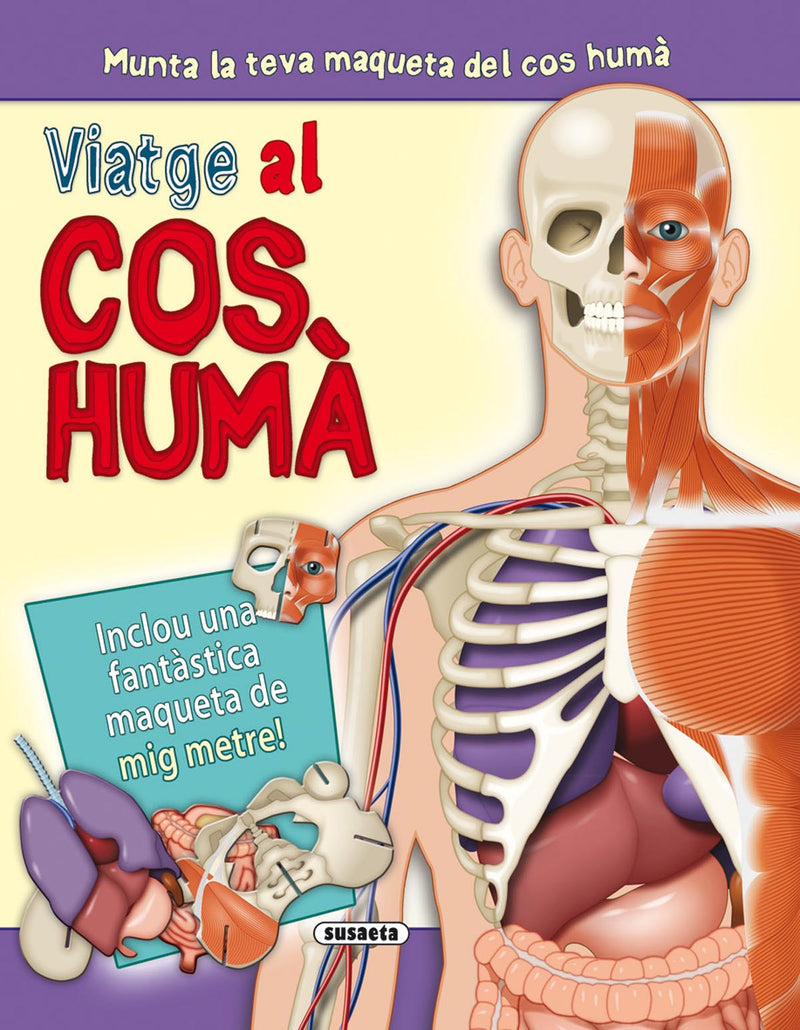 Viatge al cos humà