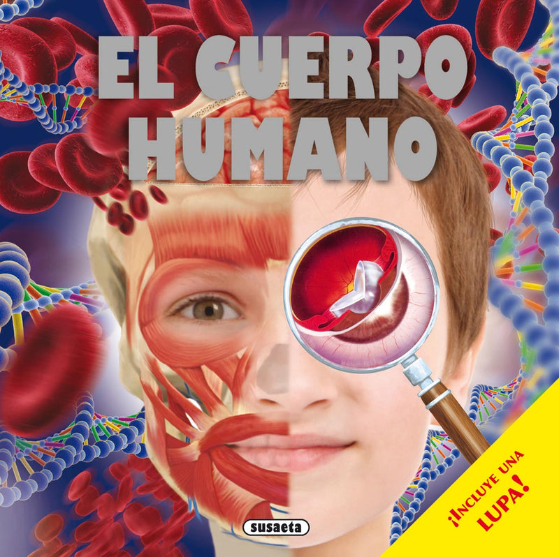 El cuerpo humano