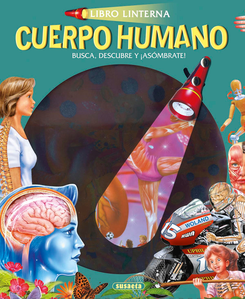 Cuerpo humano