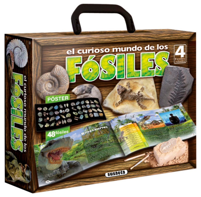 El curioso mundo de los fósiles
