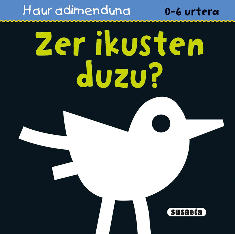 Zer ikusten duzu?