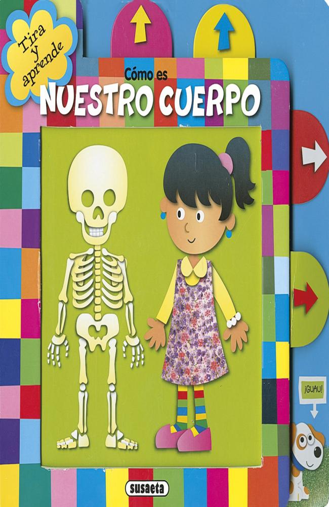 Cómo es nuestro cuerpo